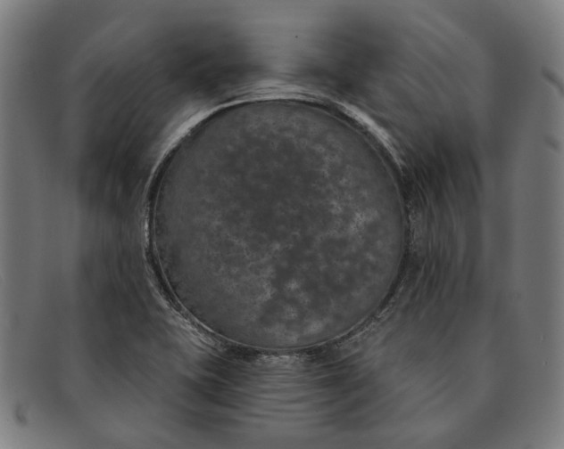 X0000091331415200708311428