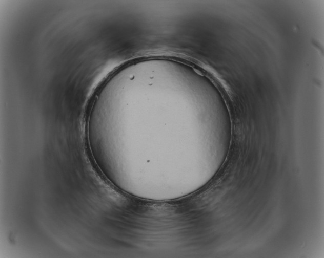 X0000091331416200708311428