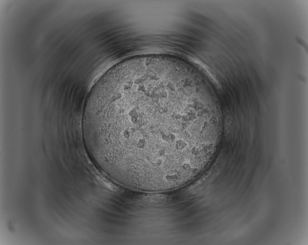 X0000091331417200708311428