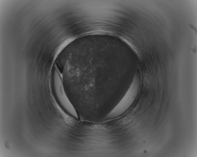 X0000091331418200708311428