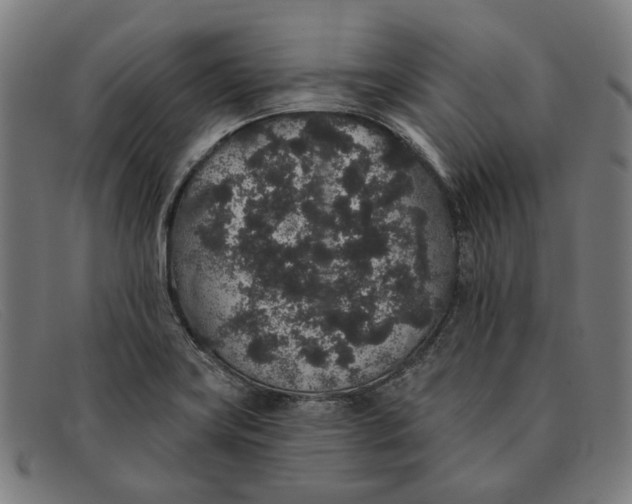 X0000091331419200708311428