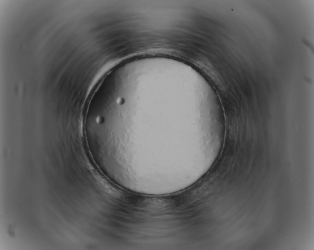 X0000091331420200708311428