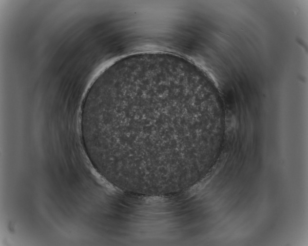 X0000091331421200708311428