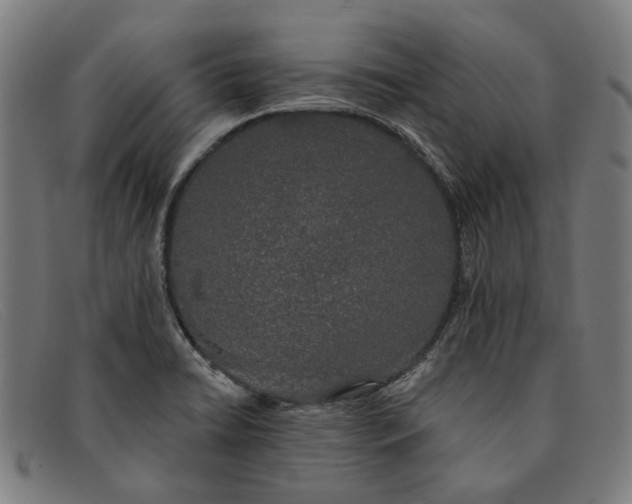 X0000091331422200708311428