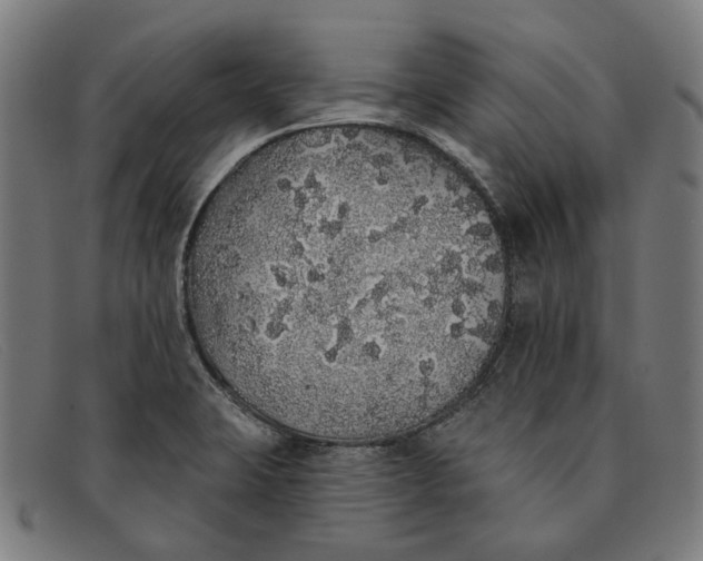 X0000091331423200708311428