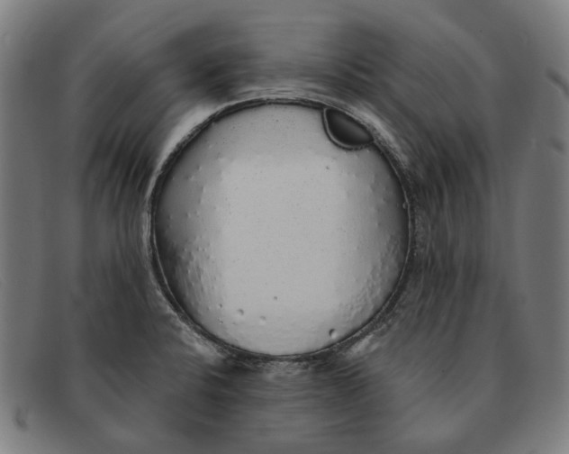 X0000091331424200708311428