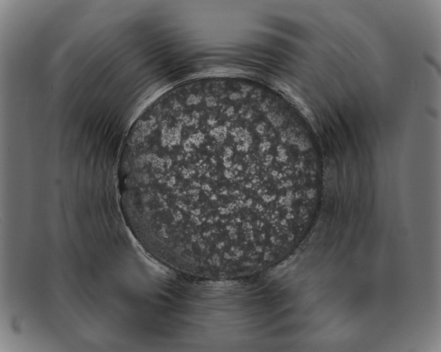 X0000091331425200708311428