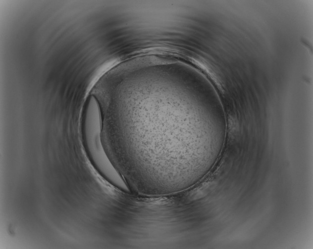 X0000091331426200708311428