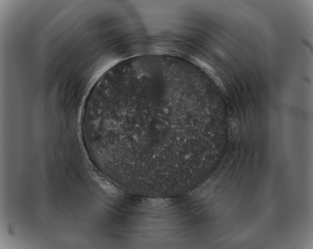 X0000091331427200708311428