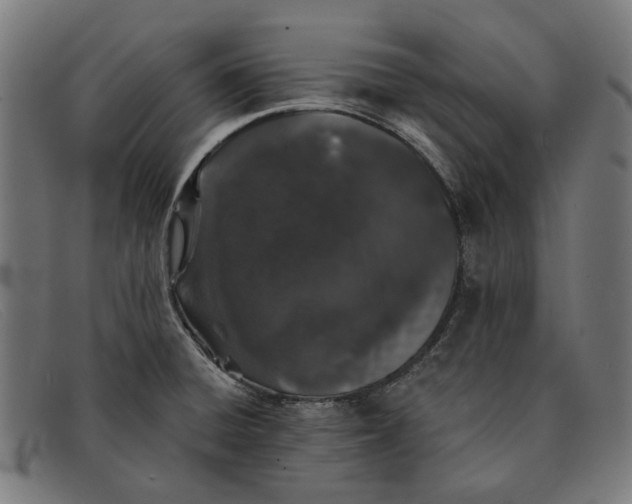 X0000091331428200708311428