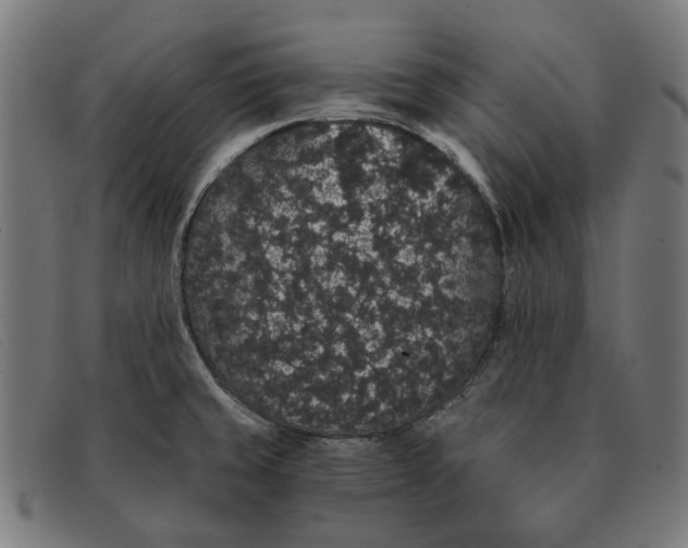 X0000091331429200708311428