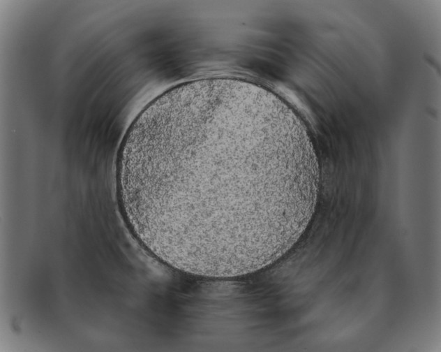 X0000091331431200708311428