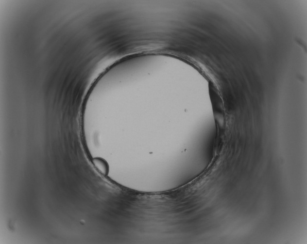 X0000091331432200708311428