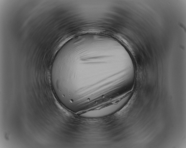 X0000091331433200708311428