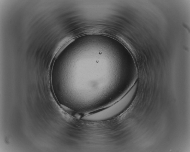 X0000091331434200708311428