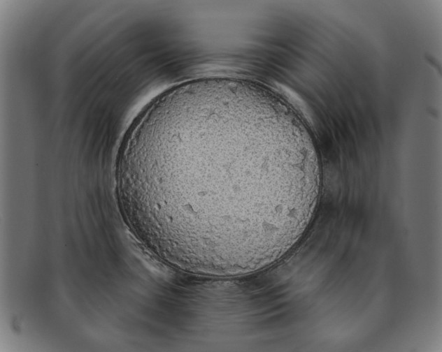 X0000091331435200708311428