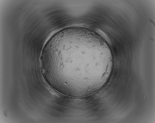 X0000091331436200708311428