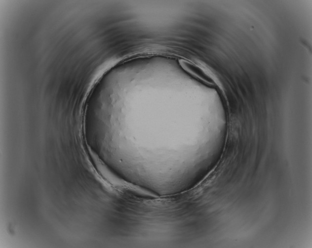 X0000091331437200708311428