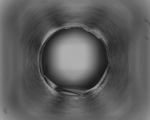 X0000091331438200708311428