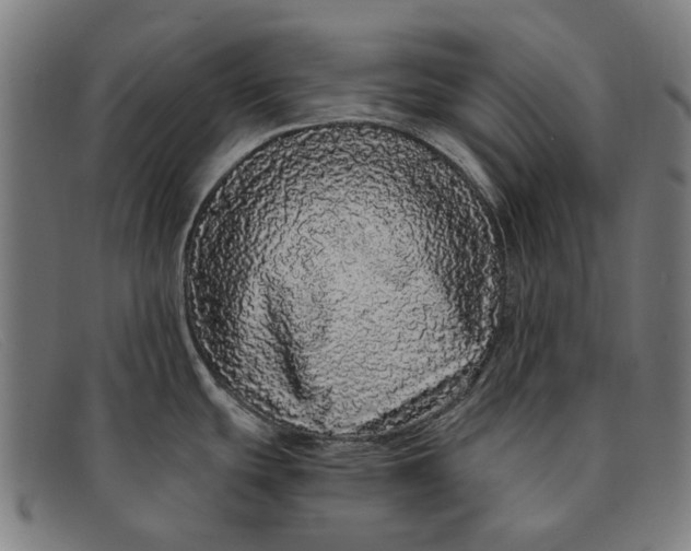 X0000091331439200708311428