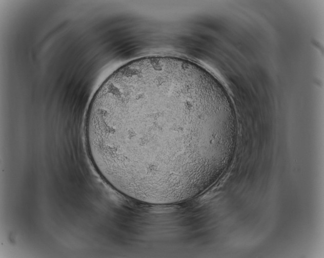 X0000091331440200708311428