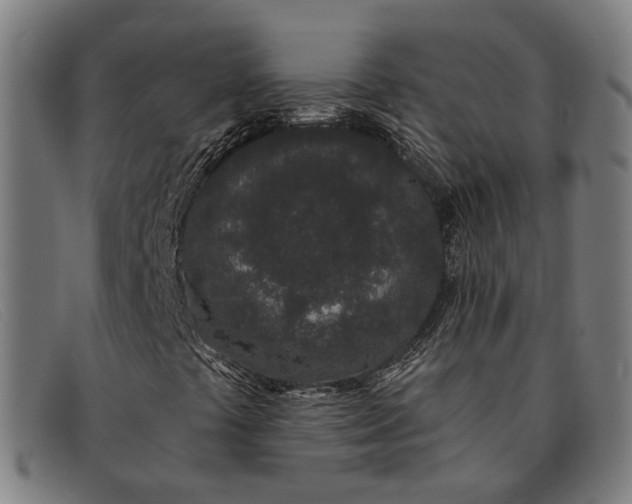 X0000091331441200708311428