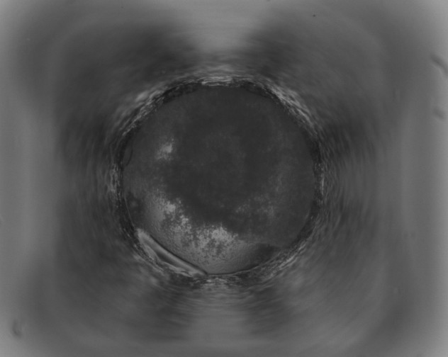 X0000091331445200708311427