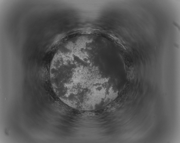 X0000091331446200708311427