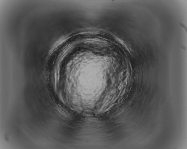 X0000091331448200708311427