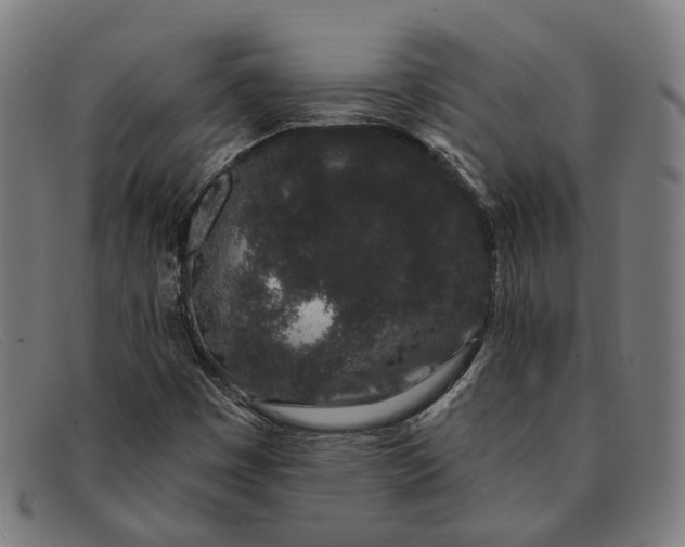 X0000091331449200708311427