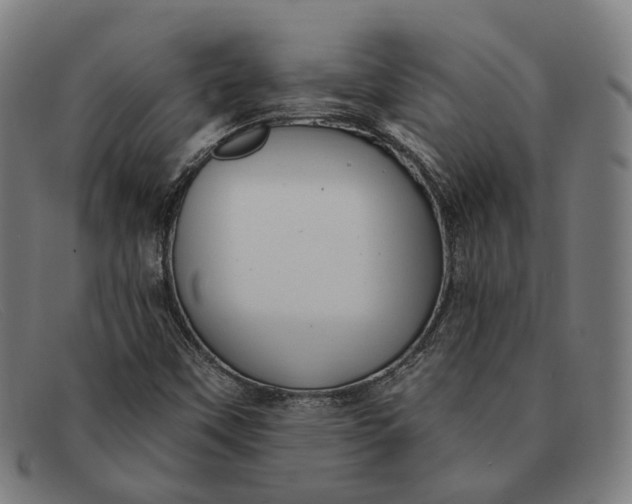 X0000091331451200708311427