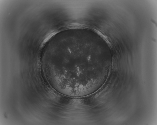 X0000091331453200708311427