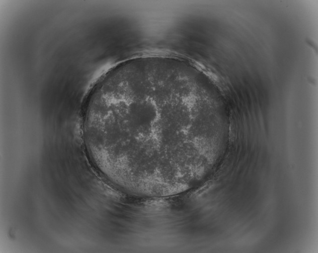 X0000091331454200708311427