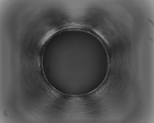 X0000091331455200708311427