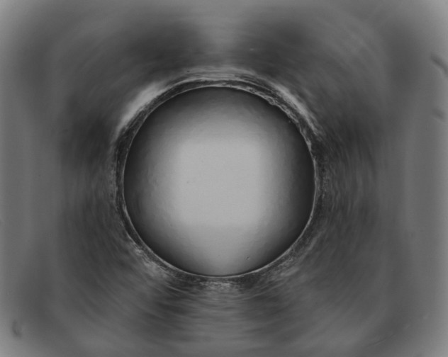 X0000091331456200708311427