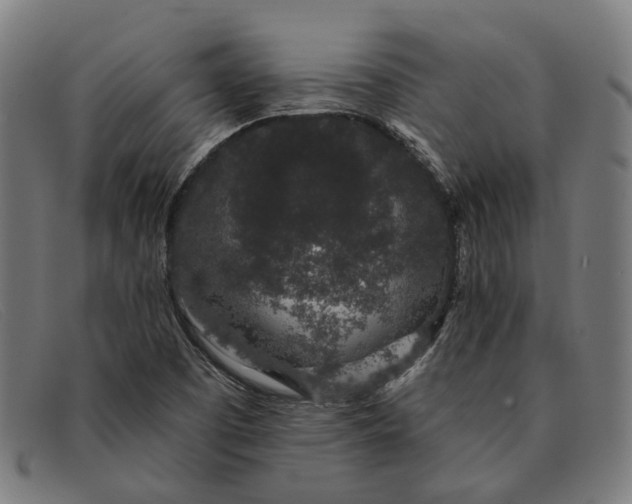 X0000091331457200708311427