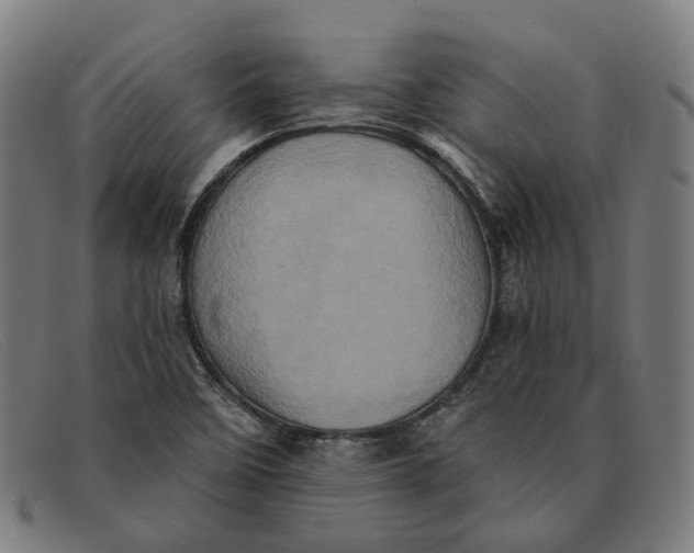 X0000091331458200708311427