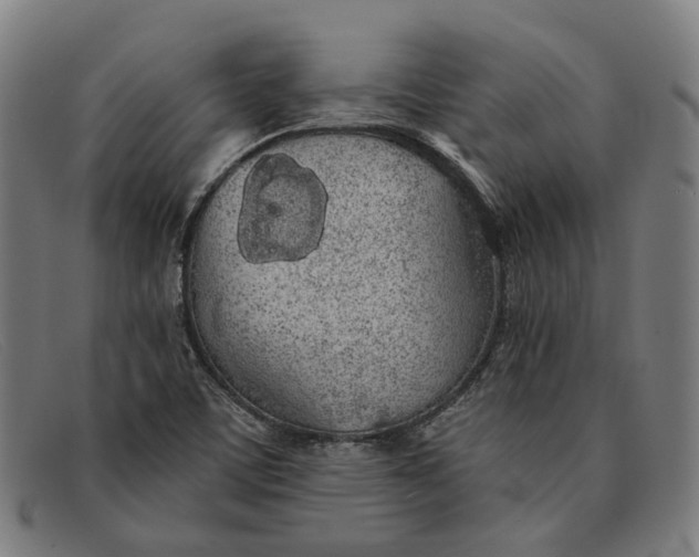 X0000091331459200708311427