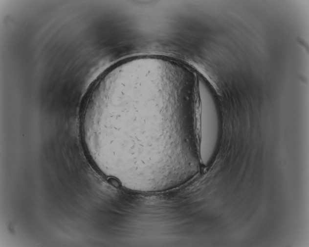 X0000091331460200708311427