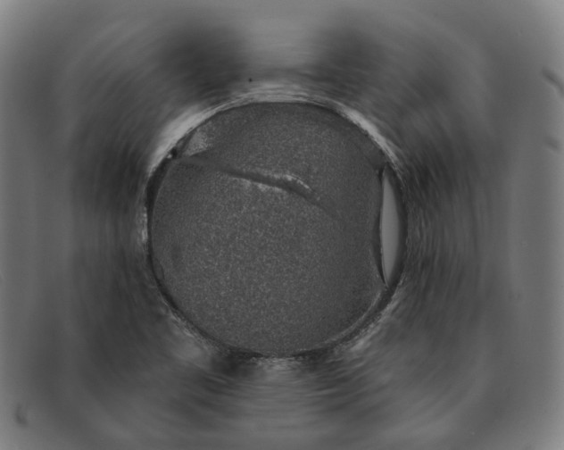 X0000091331461200708311427