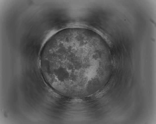 X0000091331462200708311427