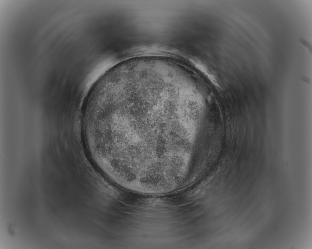 X0000091331463200708311427