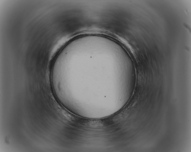 X0000091331464200708311427