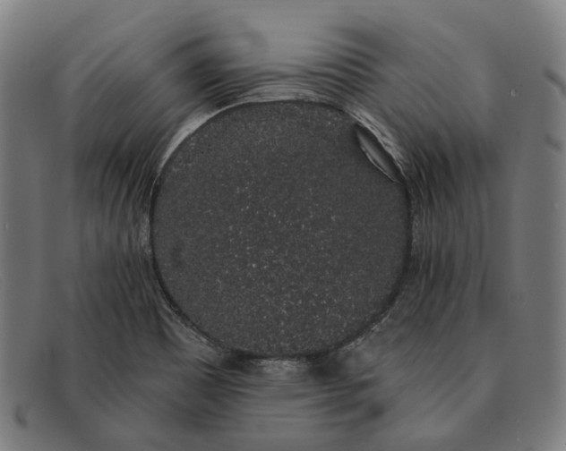 X0000091331465200708311427