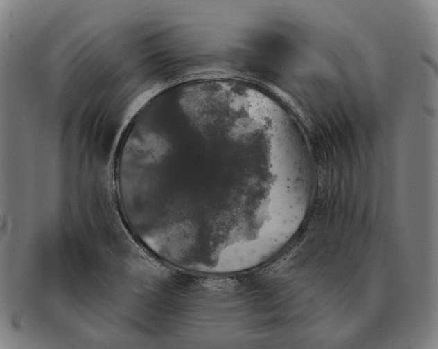 X0000091331466200708311427