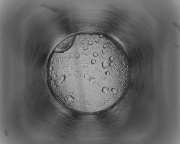 X0000091331467200708311427