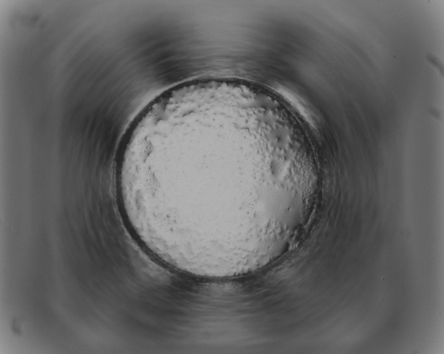 X0000091331468200708311427