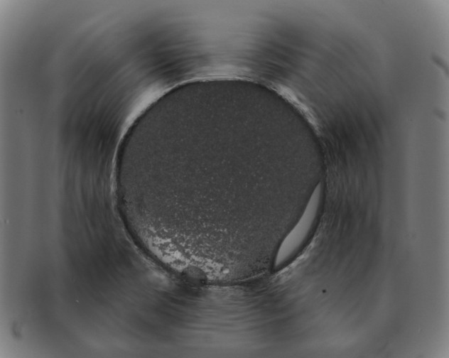 X0000091331469200708311427