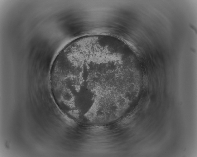 X0000091331470200708311427