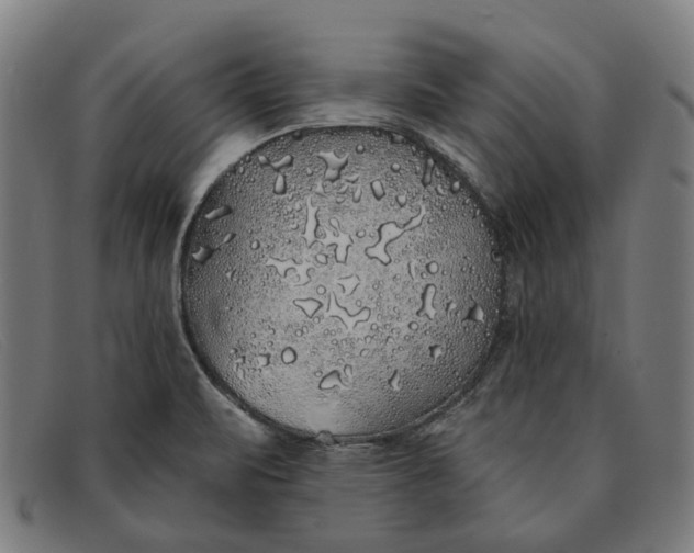 X0000091331471200708311427